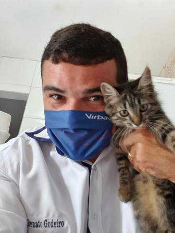 Veterinário Domiciliar - Foto 5