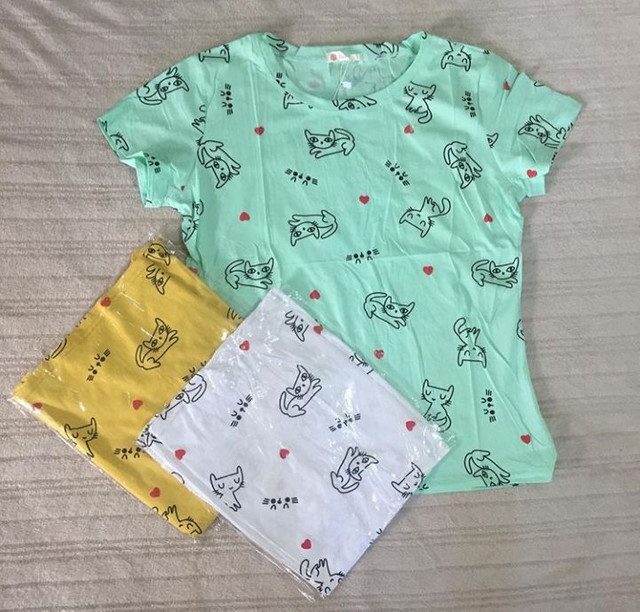 Blusa