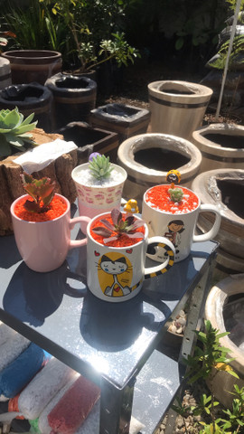 Vasos montados, comigo ninguém pode, arranjos para presente - Foto 4