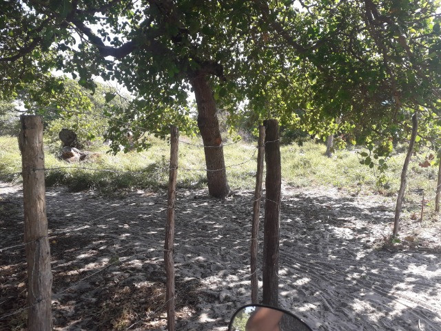Terreno 10 x 30 m R$ 35.000,00 - Foto 10