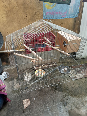 Vende gaiola - Foto 2