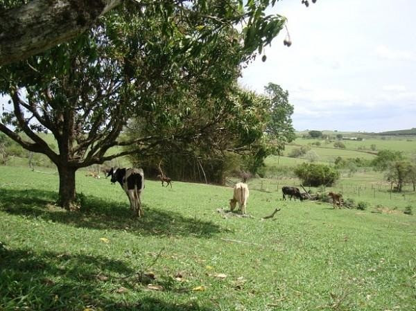 Realize seu sonho e adquira já sua propriedade rural ou urbana - Foto 2