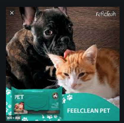 Lenço umidecico cão e gato