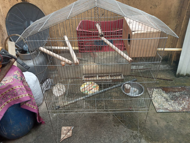 Vende gaiola - Foto 3