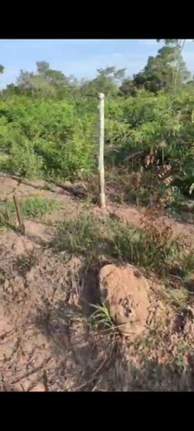 Chácara no Setor Tamburi com ribeirão - Foto 2