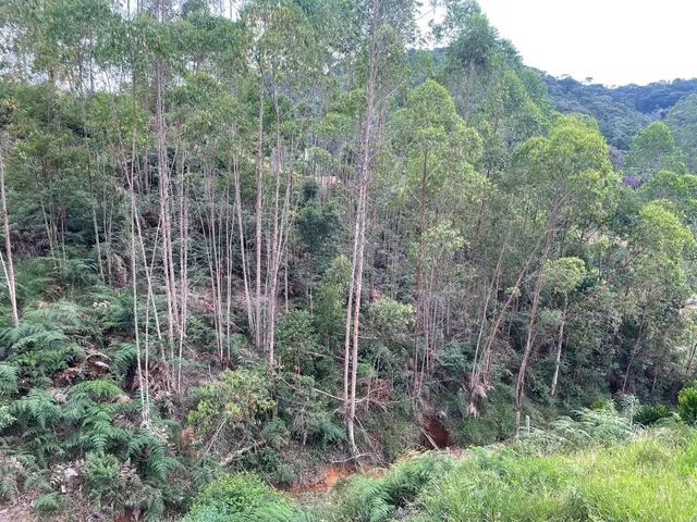 Terreno em Domingos Martins - Foto 5