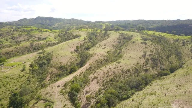 Fazendinha para Gado a venda em Padre Bernardo GO Oportunidade !