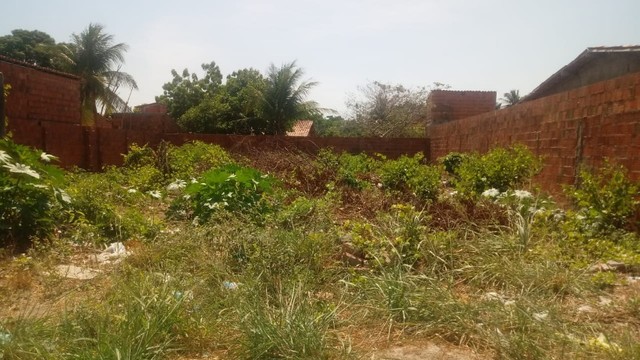 Terreno no bairro Jabuti - Itaitinga  - Foto 2