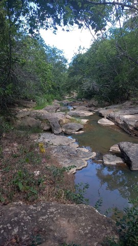Chácara no Setor Tamburi com ribeirão - Foto 3