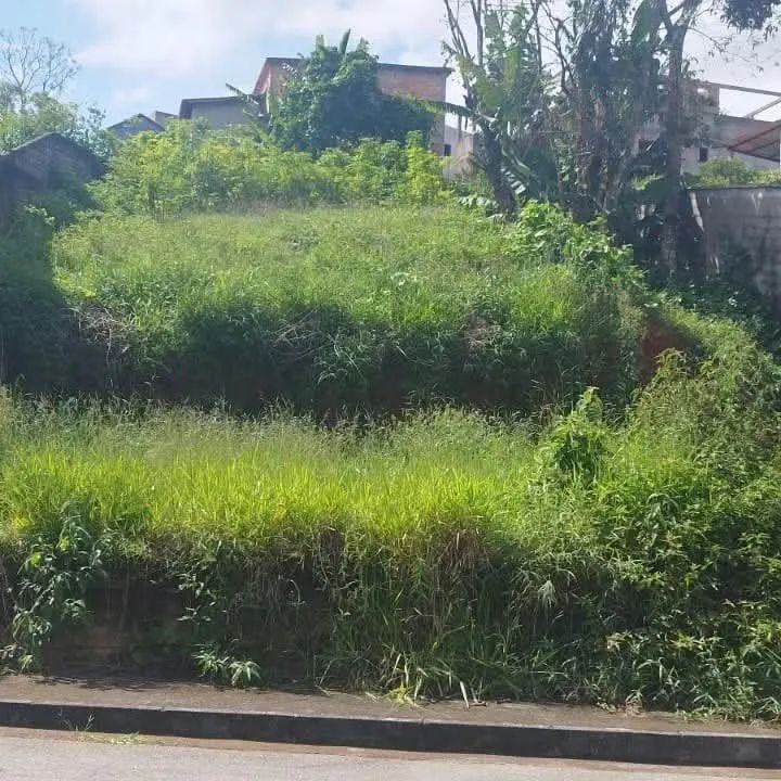 foto - Carandaí - Nossa Senhora do Rosário