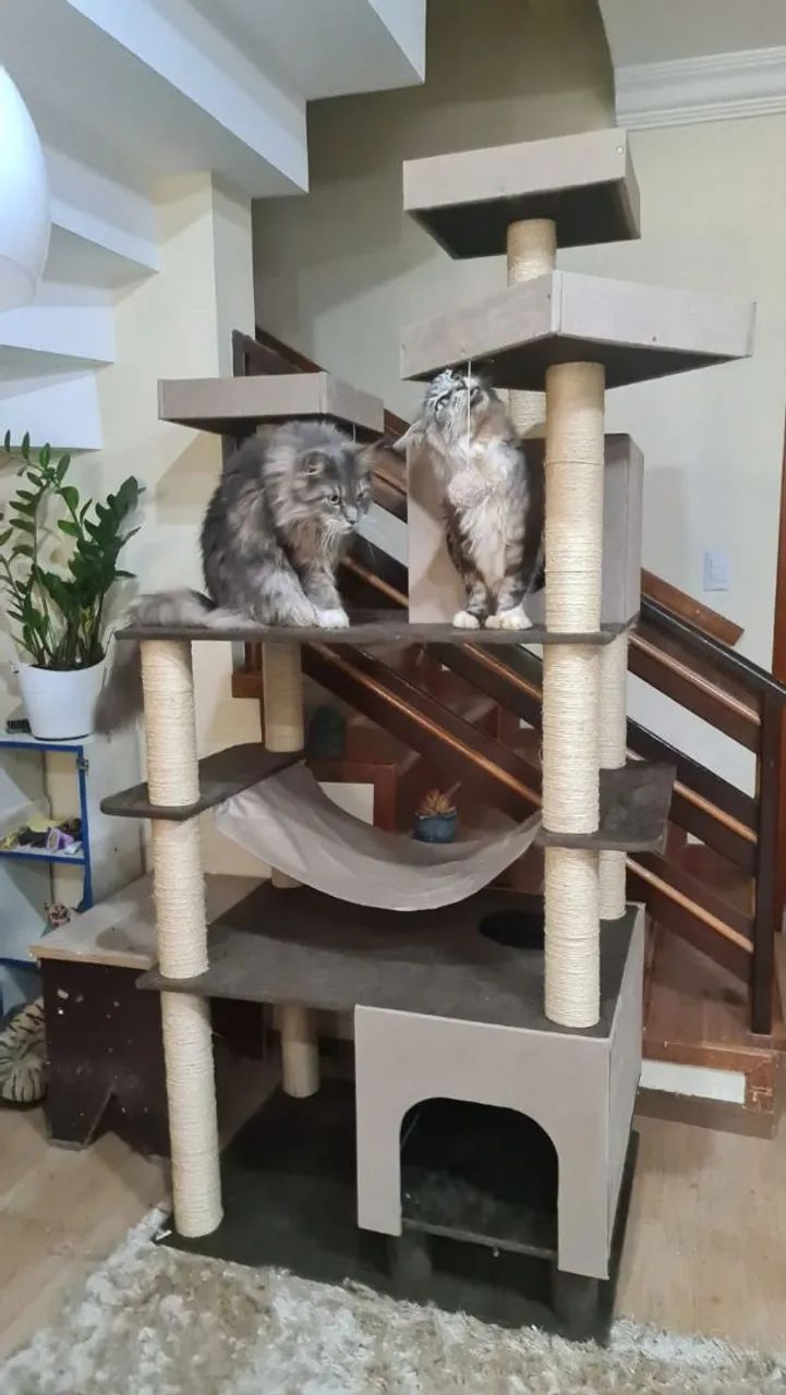 Arranhador para gato64309550749443123