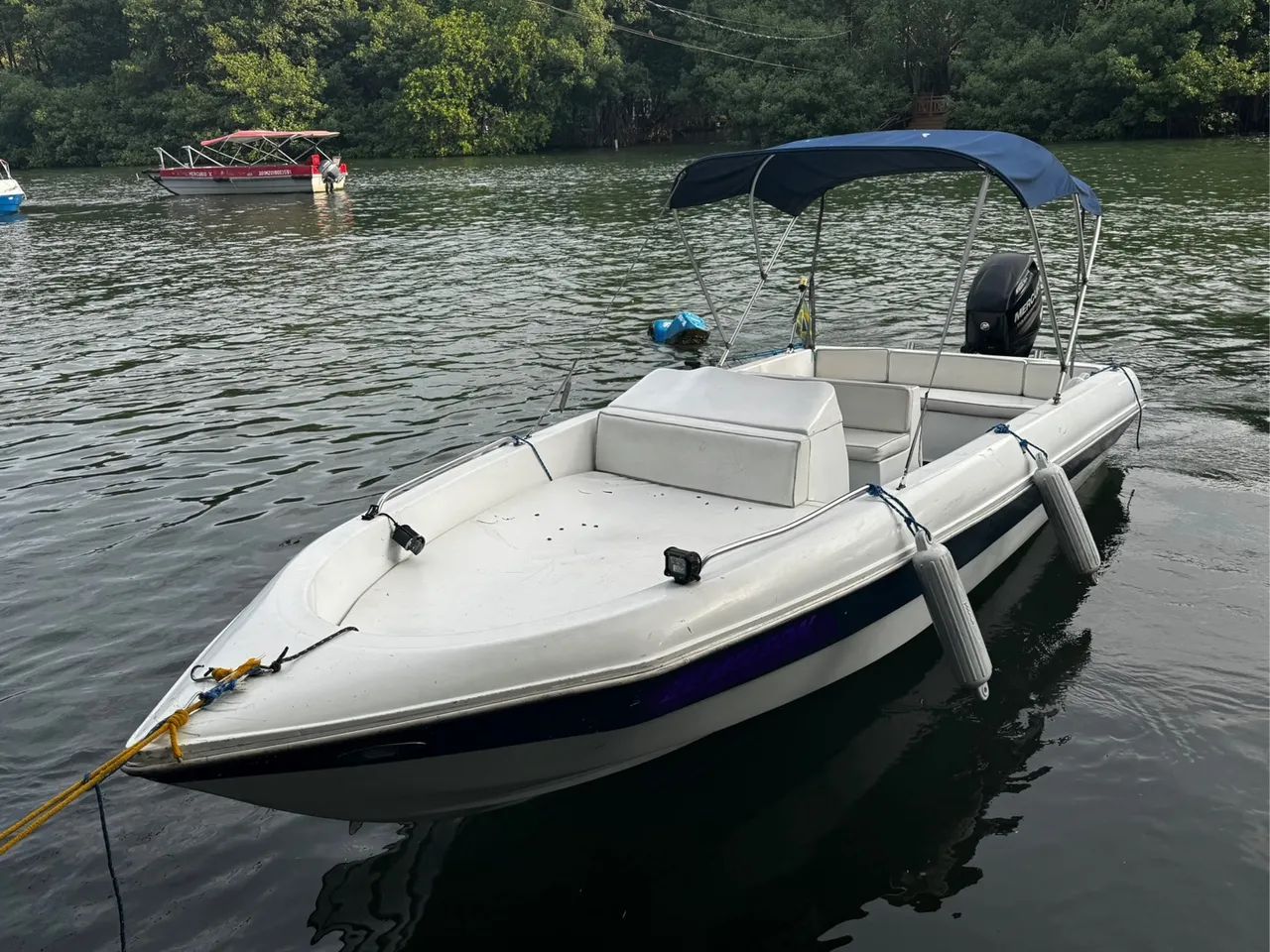 Lancha Real Diver 18 - Motor Mercury 60hp 4 Tempos