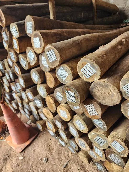 Treated Eucalyptus436600745765775363