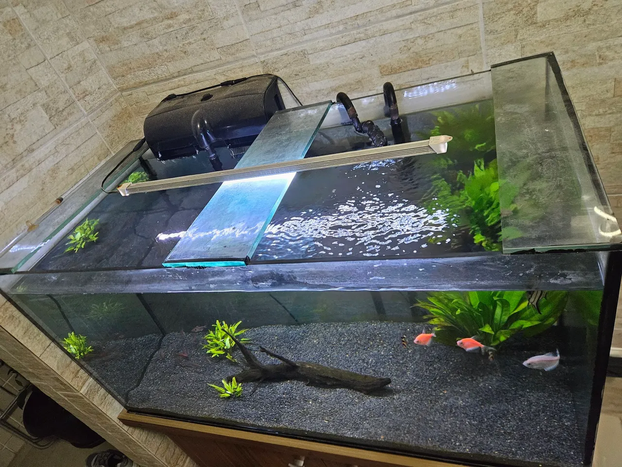 Aquário completo 200L