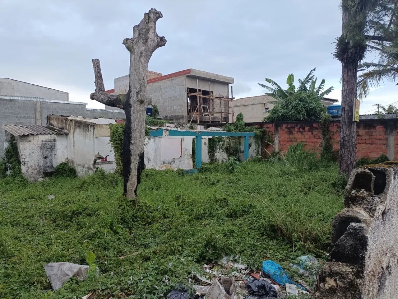 Foto - Guarujá - Jardim Virgínia