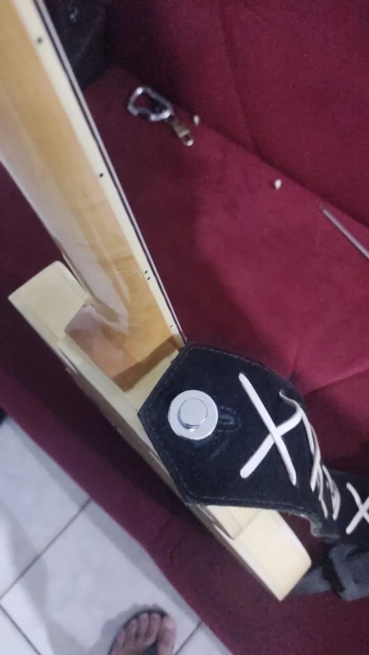 Guitarra Zakk Wylde  - Foto 3