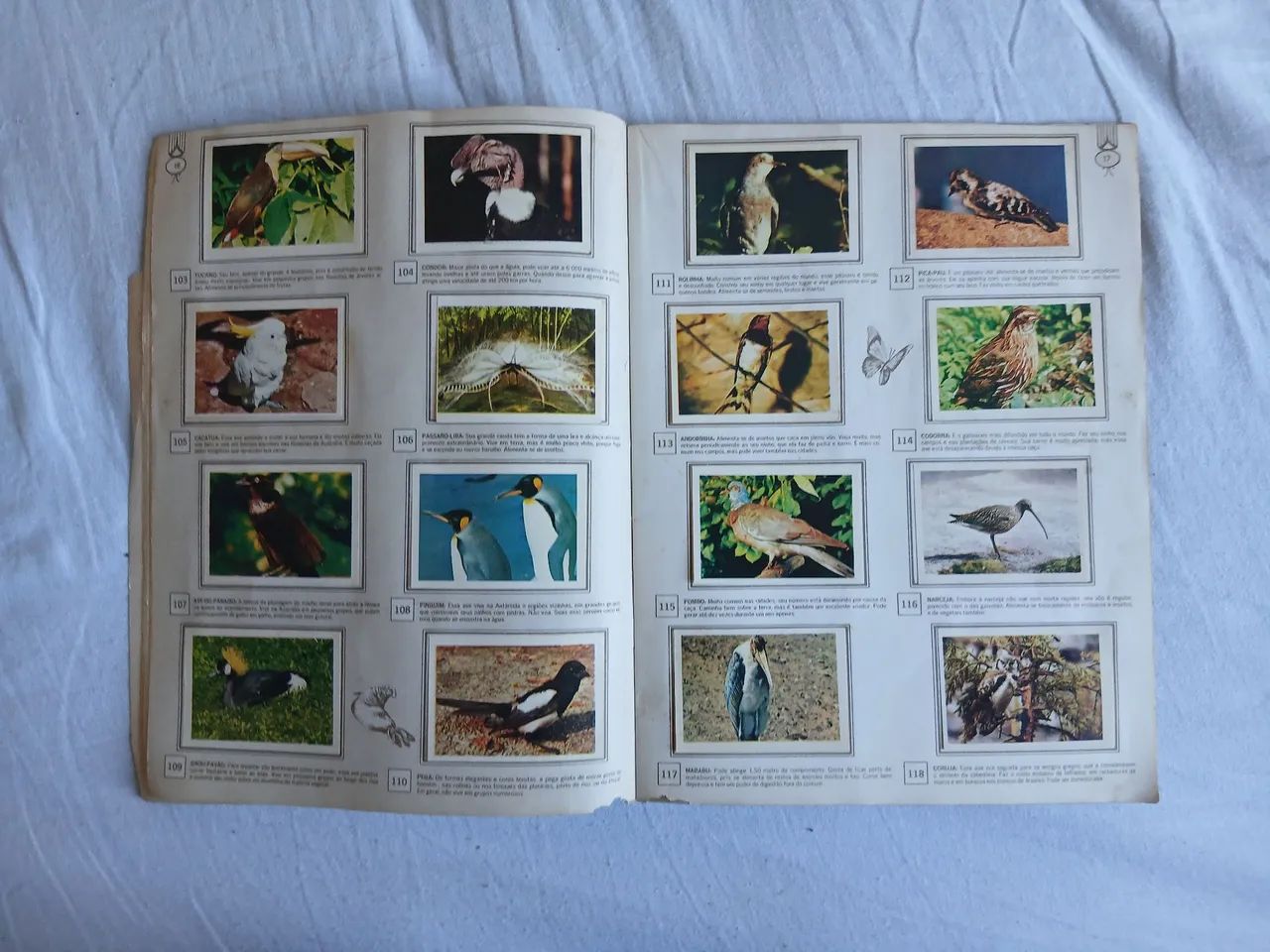 Álbum Natureza Viva - Foto 3