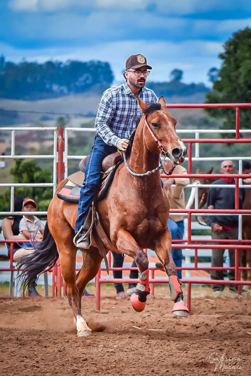 Vendo cavalo quarto de milha - Foto 2