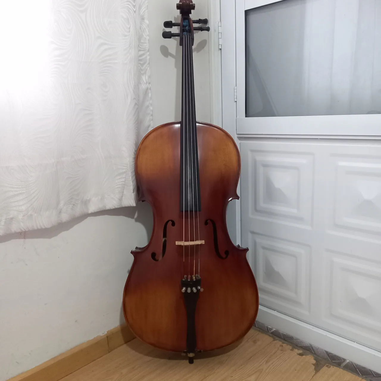 Violoncelo Brescia - somente a vista