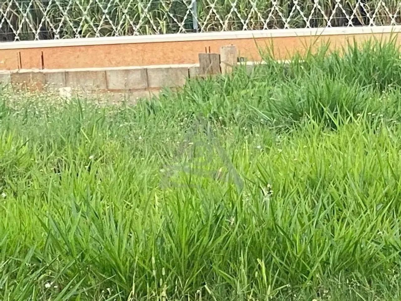 Terreno à venda em Campinas, Loteamento Residencial Arborais, com 501 m², Residencial Arbo - Foto 2