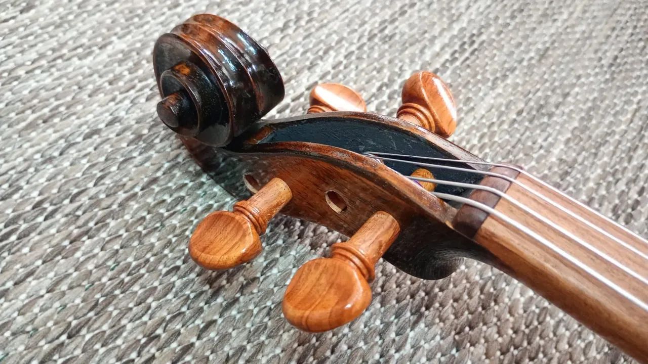 Viola Rolim Orquestra 40  - Foto 4