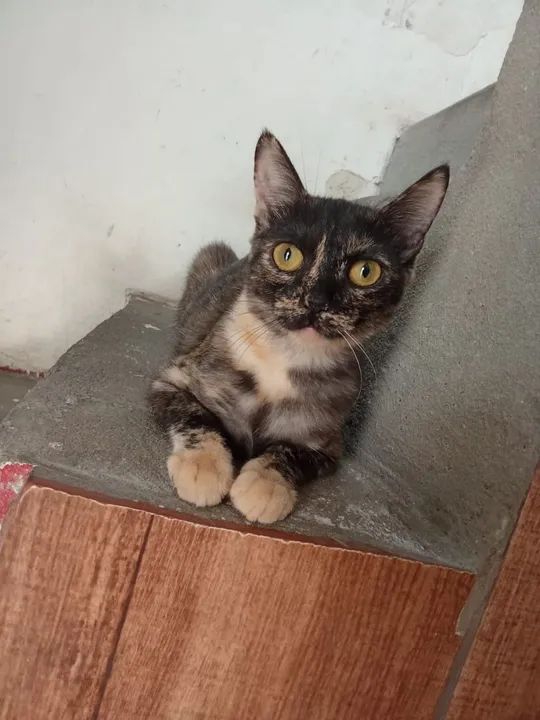 Doação pra quem realmente gosta 