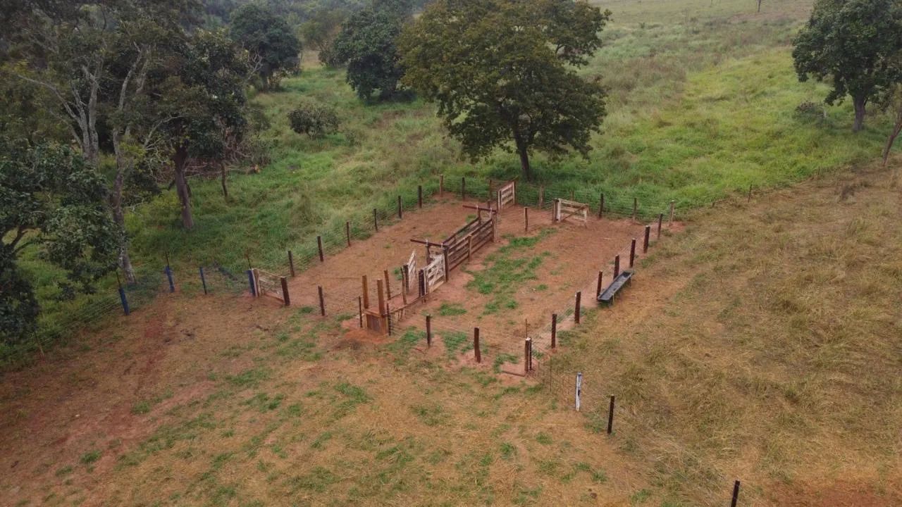Sítio próximo do prata sentido campina verde  - Foto 2