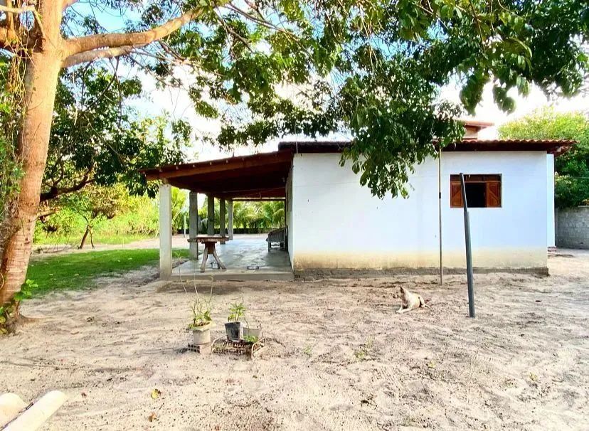 Chácara com 2 dormitórios à venda, 2000 m² por R$ 350.000,00 - Lagoa Do Bonfim - Nísia Flo - Foto 4