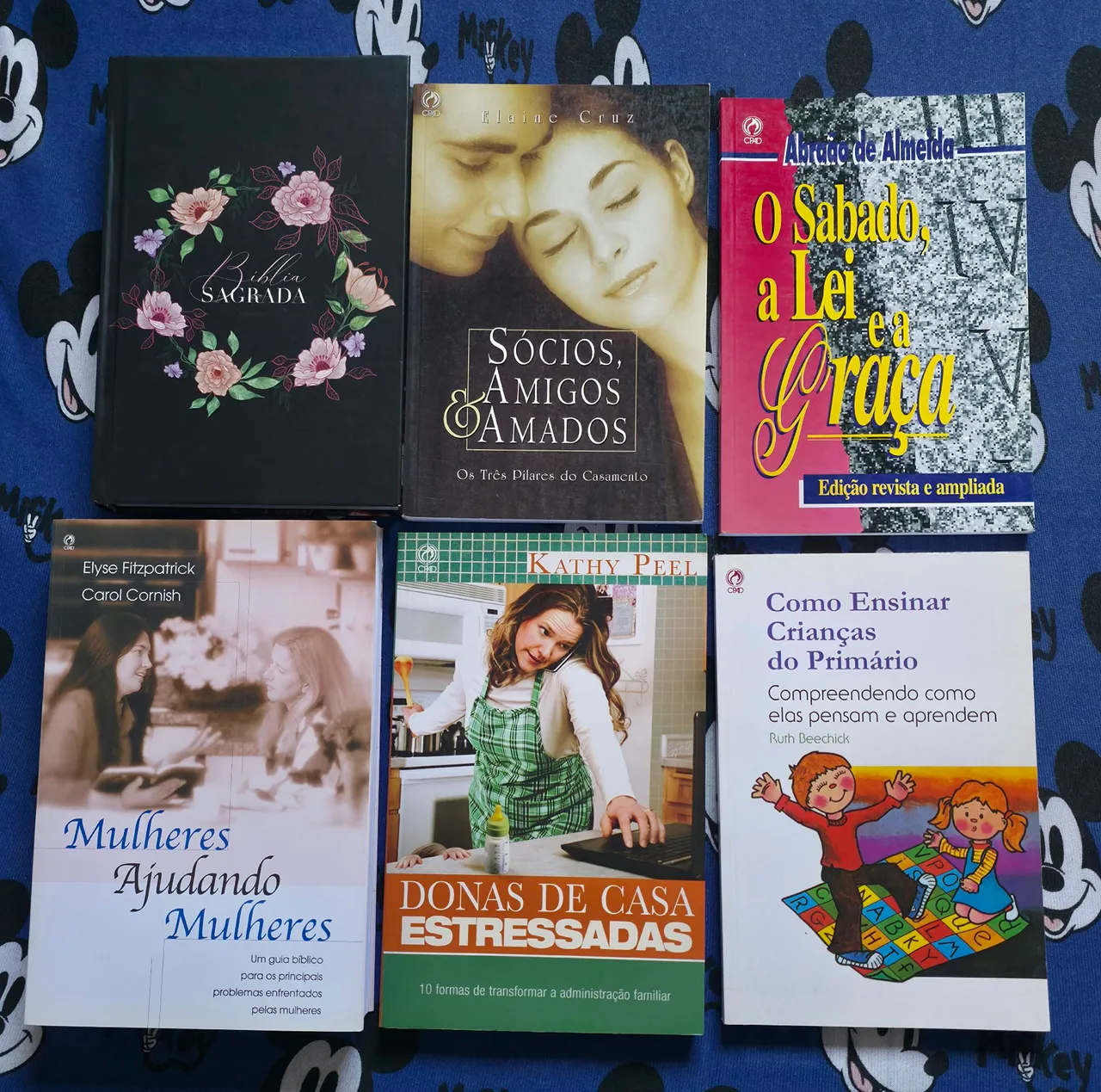 Livros Diversos - Bíblia, Religião, Casamento, Educação