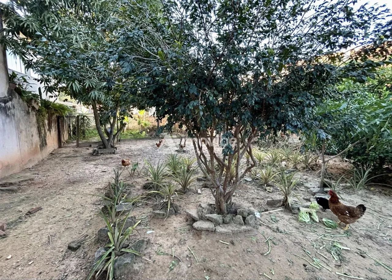 Terreno à Venda com 300m2 no Vale das Nogueiras - Foto 4