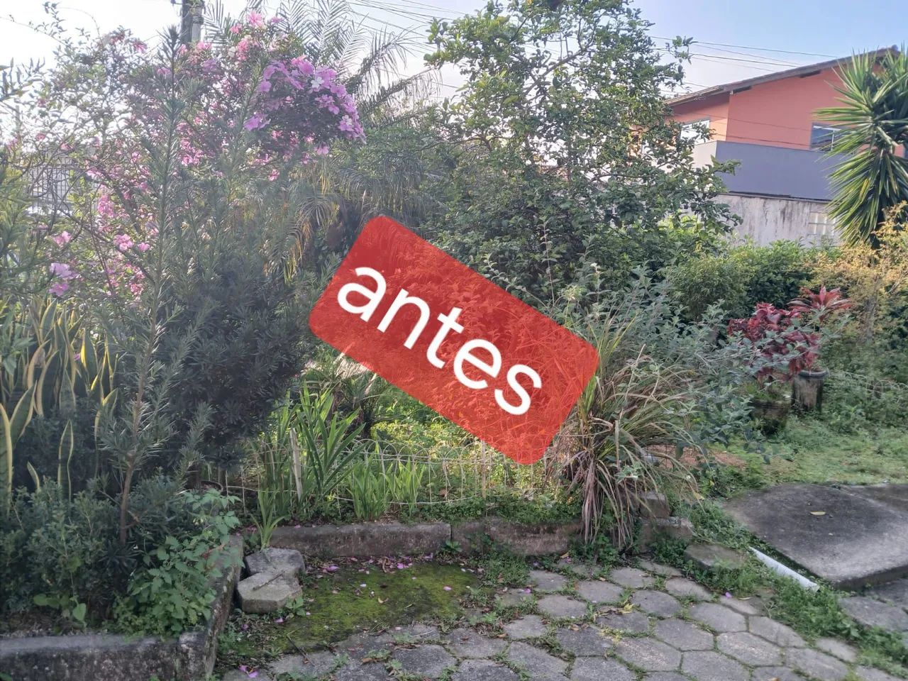 Jardinagem e paisagismo em geral  - Foto 2