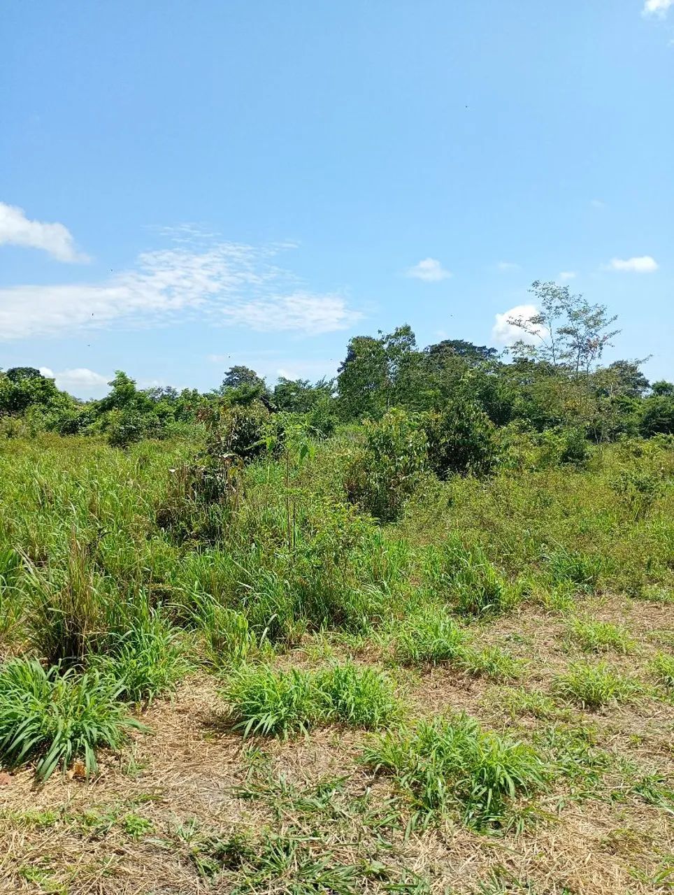 Terrenos a venda  - Foto 4