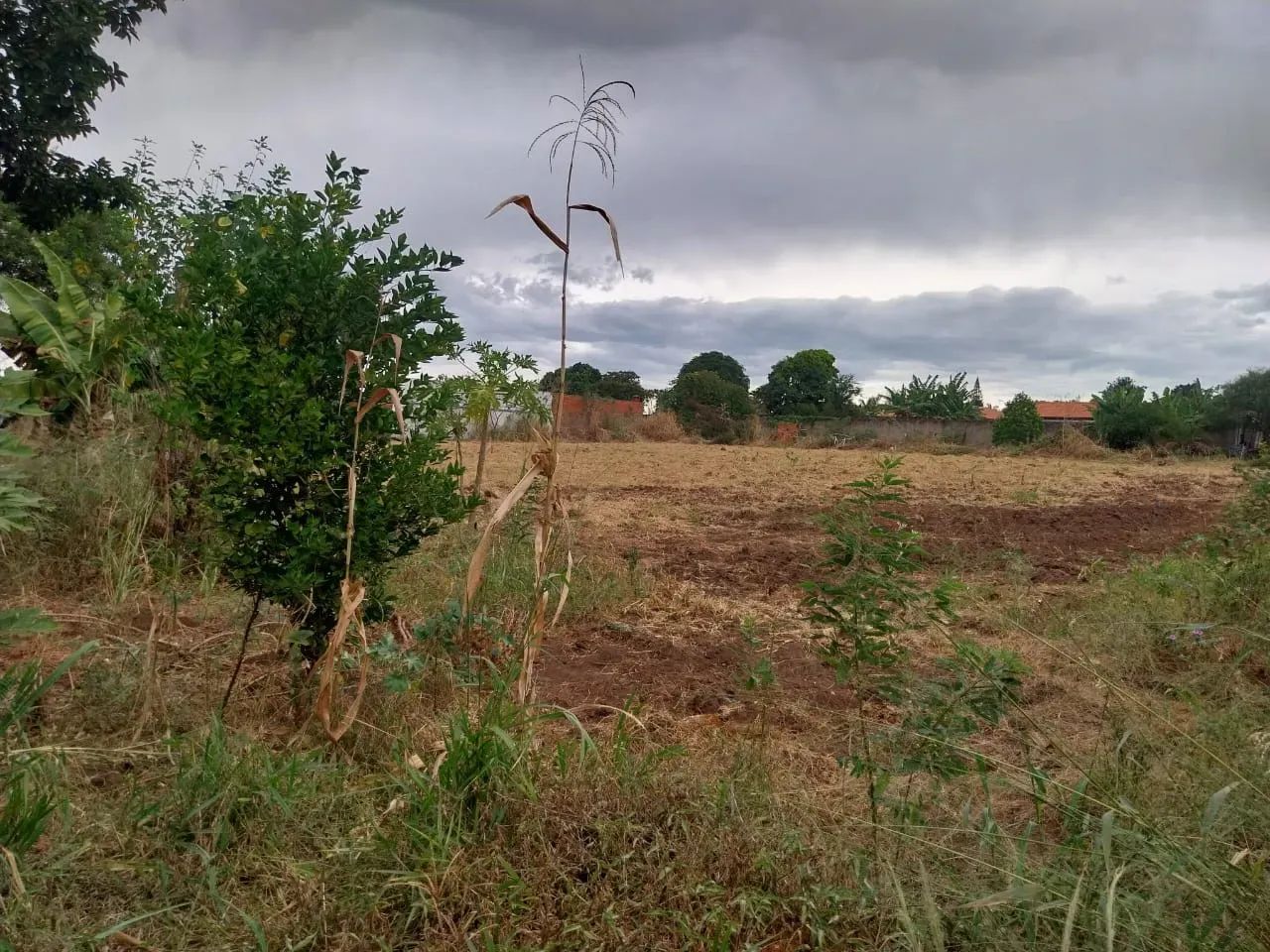 Condomínio de Chácara Estância Jardim Limeira - Foto 5