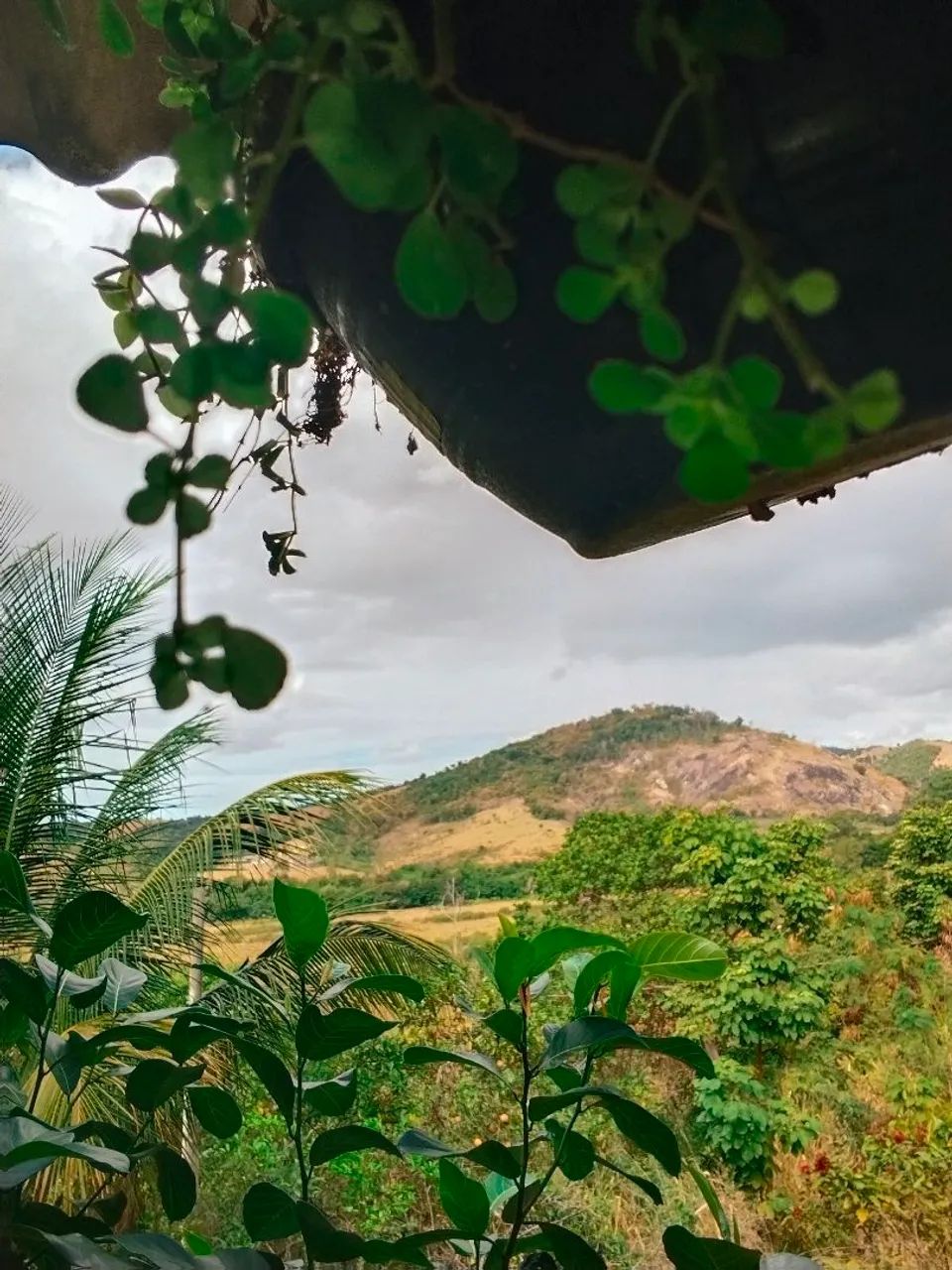 Egua - Foto 4