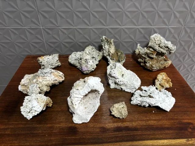 Sal marinho RED SEA e Rochas para aquário - Foto 3