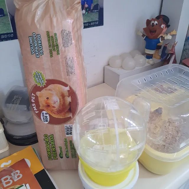 Hamster com casinha e acessórios  - Foto 2