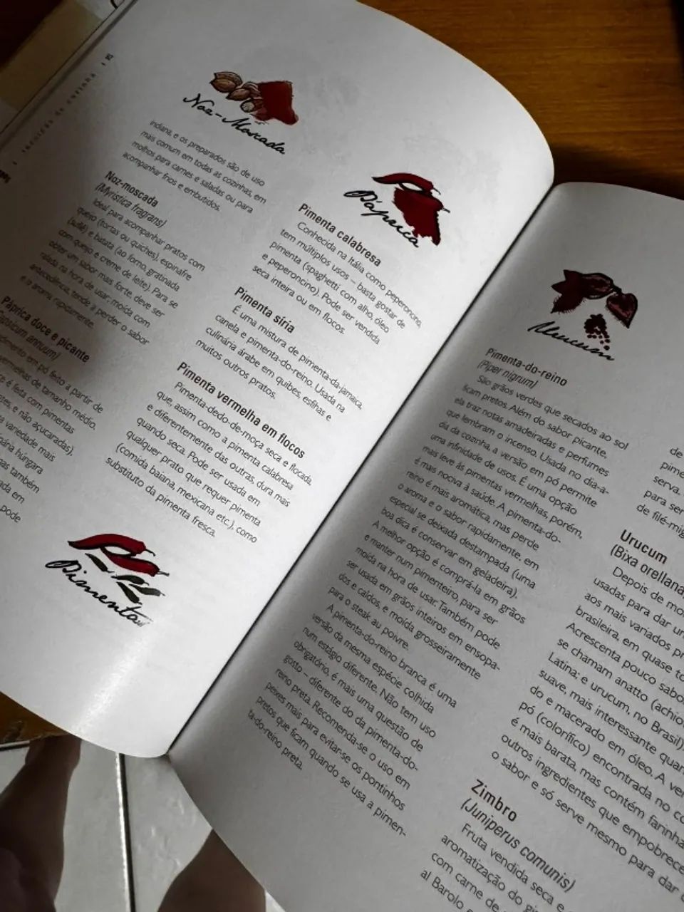 LIVRO TECNICAS DE COZINHA CAPA DURA NOVISSIMO - Foto 3