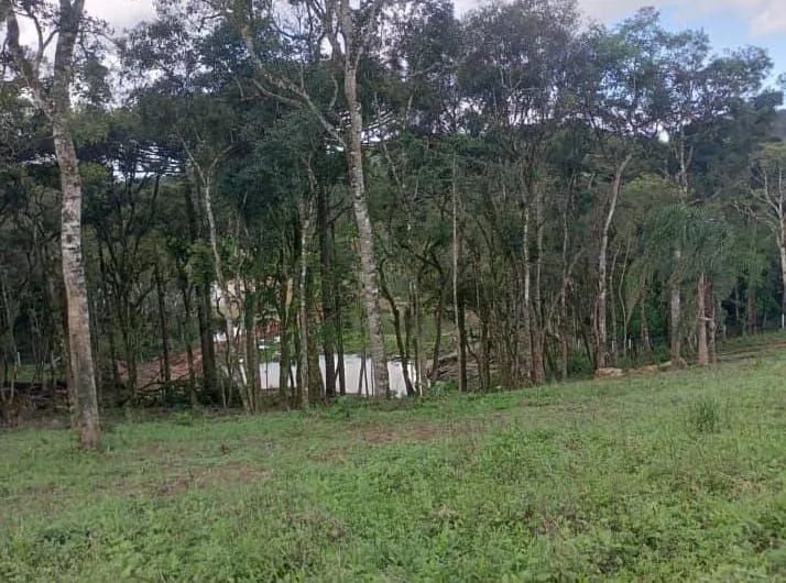 Foto - Mandirituba - Área Rural (Espigão das Antas)