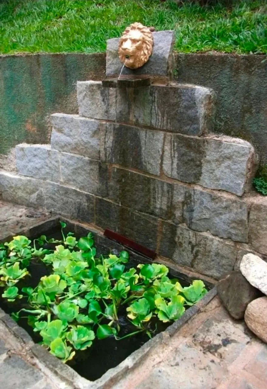 Sítio casa com anexo, km57, Ribeirão  - Foto 5