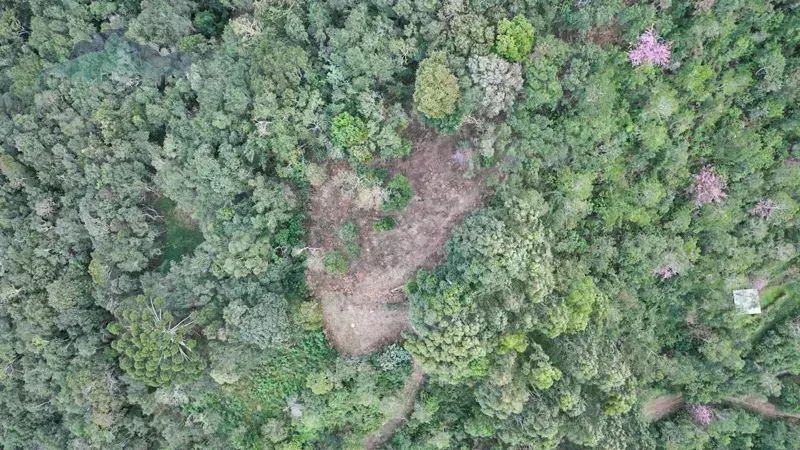 Terreno plano a venda com 20.000 m2 em Campo do Coelho - Nova Friburgo - RJ - Foto 5