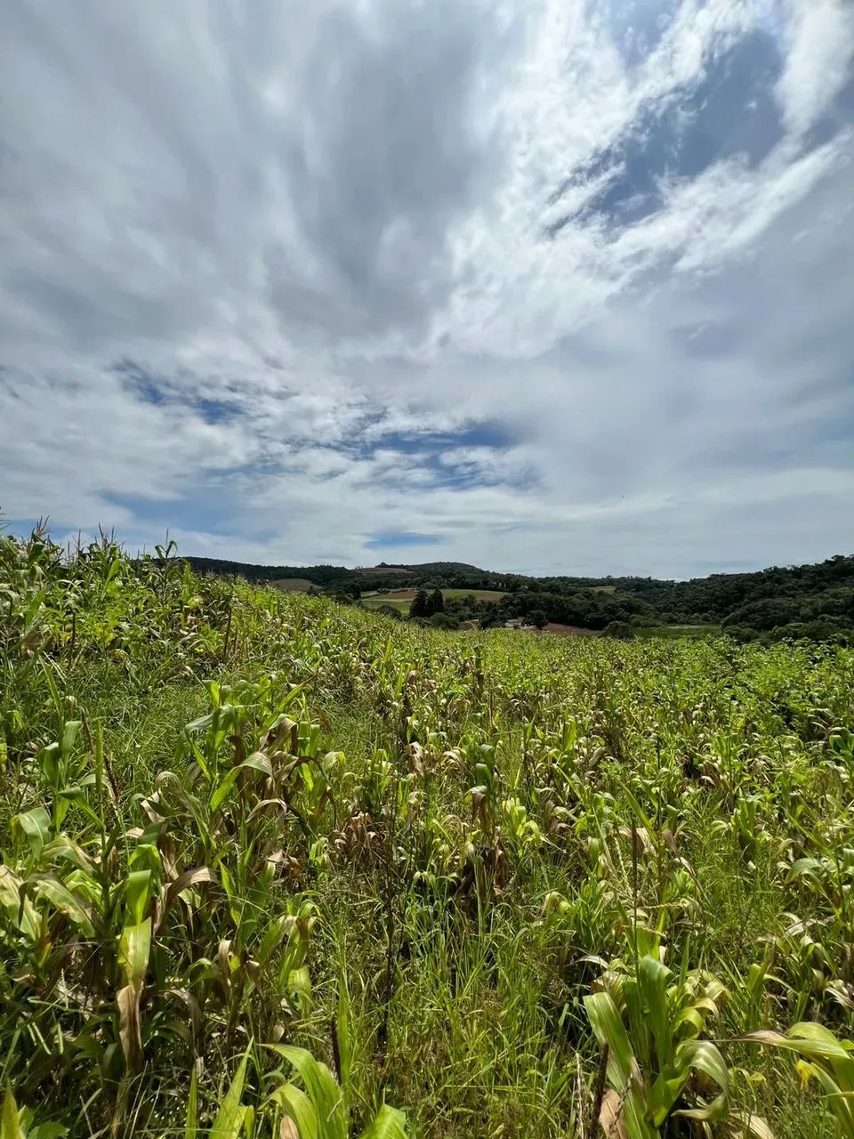 Próximo a comércios - Foto 5