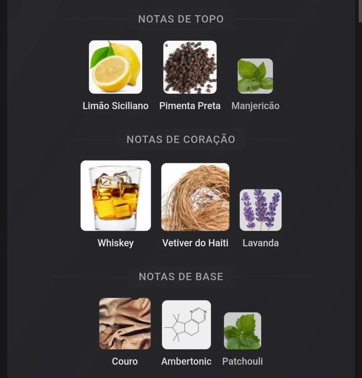 Avon Segno - Foto 3
