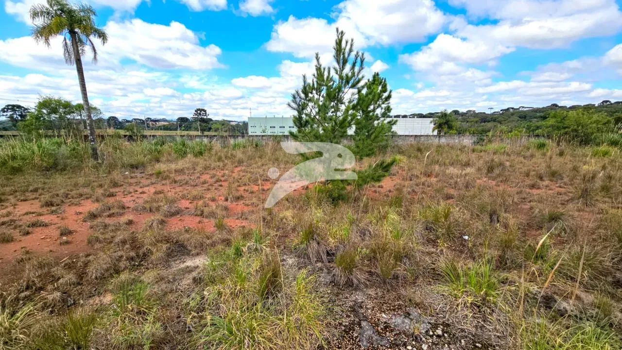 Terreno Estados 5103m² - Foto 5