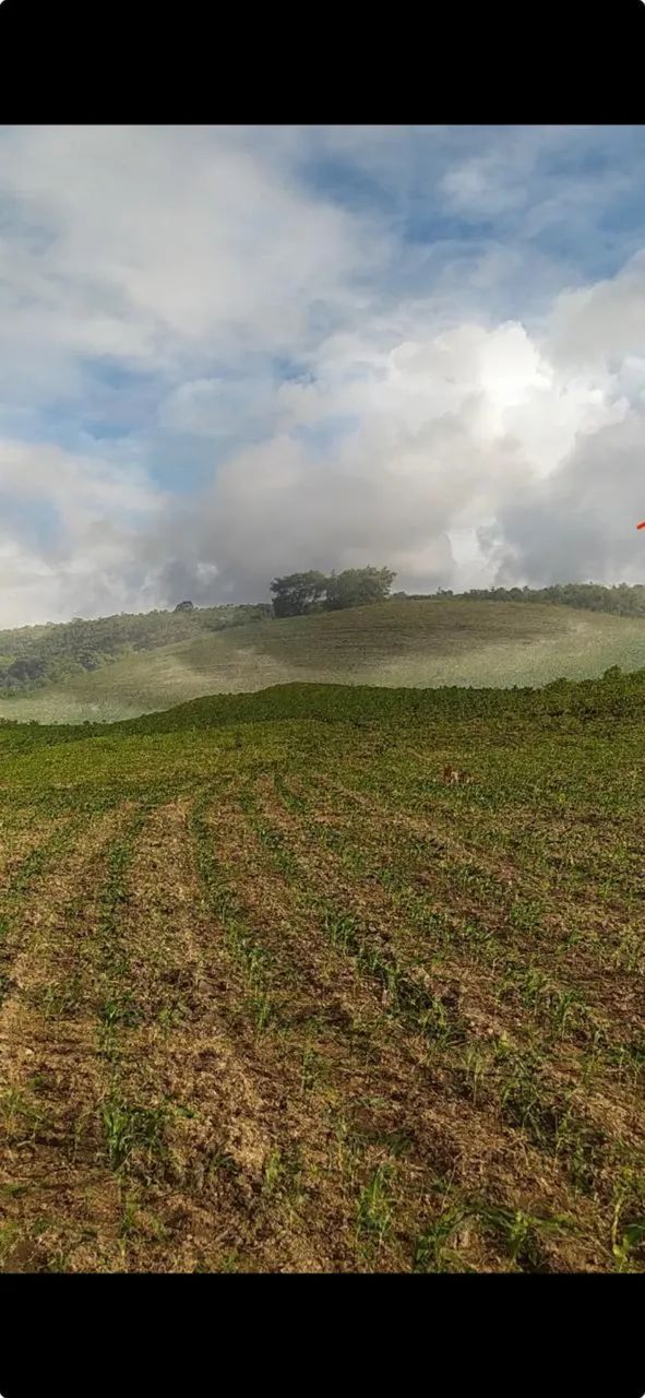 Fazenda em Campo do Brito