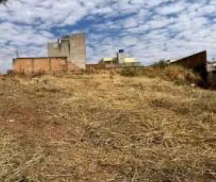 Lote 360