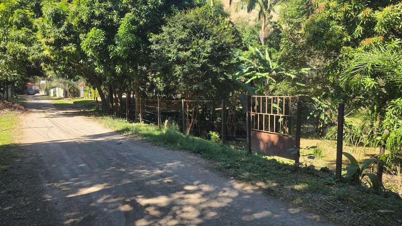 Terreno com cachoeira  - Foto 4