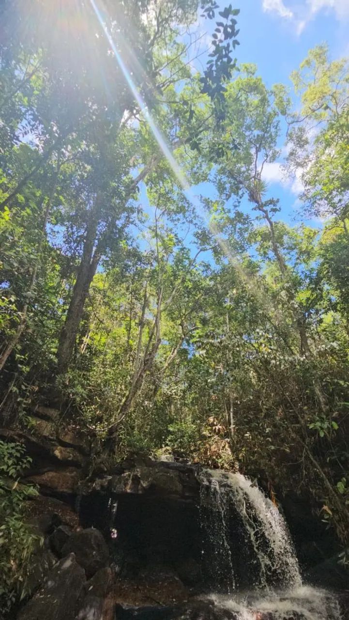 Fazenda Rio Doce  - Foto 4