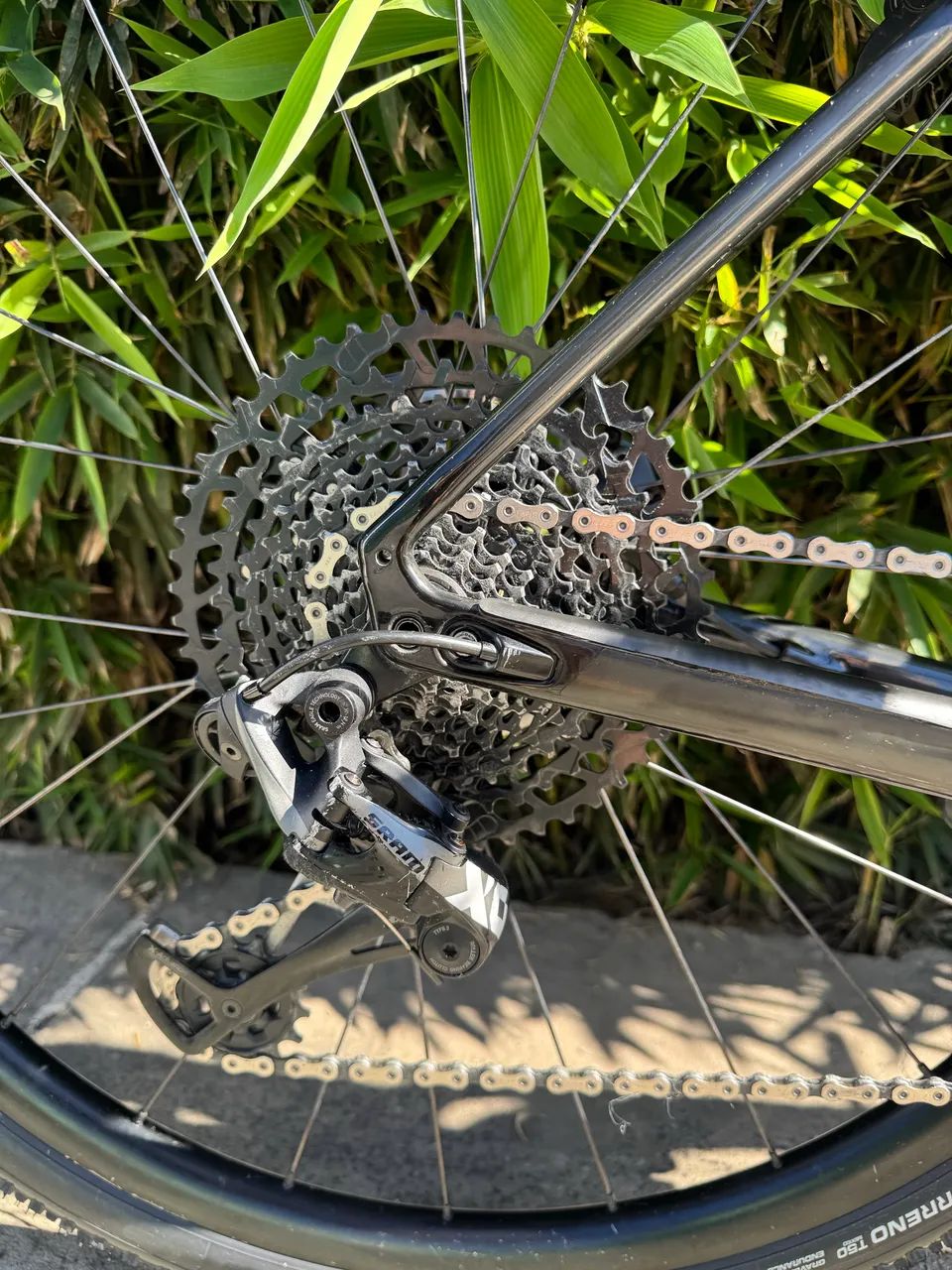 Specialized Diverge Carbon expert  56 - Foto 2