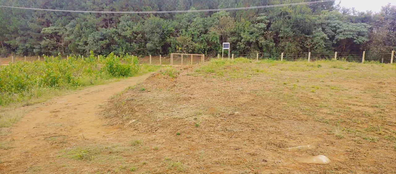 Terreno 10.000m2 - Foto 2