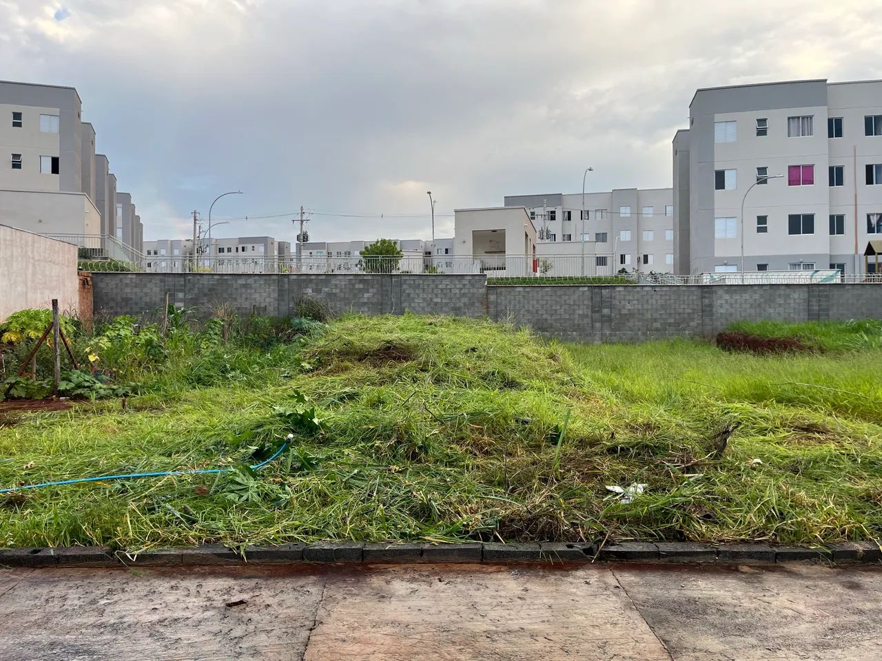 Foto - Ribeirão Preto - Jardim Anhangüera